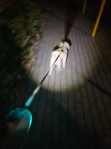 NoblePaws | LED Hundetov til Sikker Aftentur