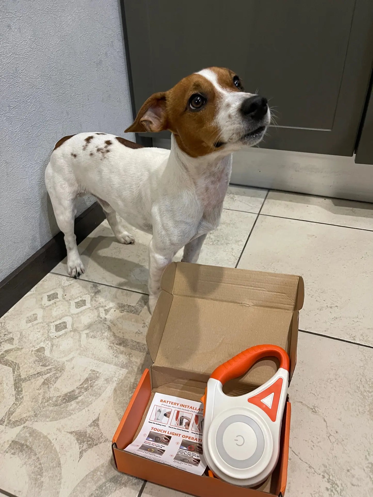 NoblePaws | LED Hundetov til Sikker Aftentur