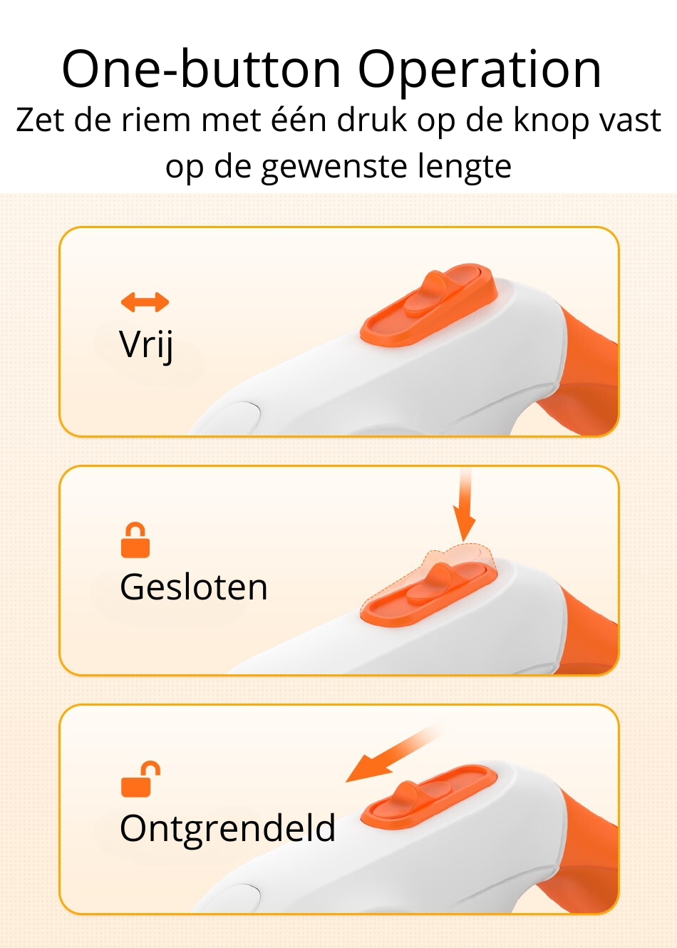 NoblePaws | LED Hundetov til Sikker Aftentur